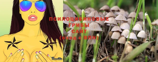 твердый Белоозёрский