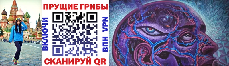 кракен рабочий сайт  Свободный  Галлюциногенные грибы Psilocybine cubensis 